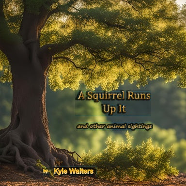 Book Cover Variant Thumbnail